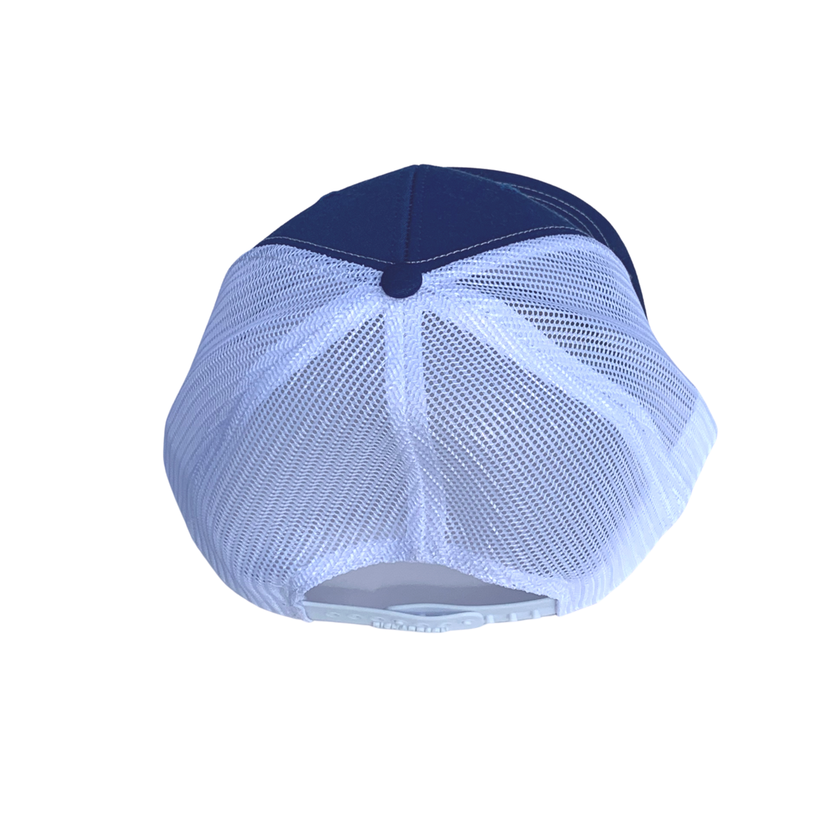 Nasa top meatball cap