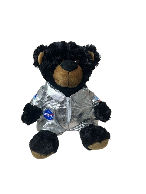 NASA Logo Plush Astronaut Fred and Louie Bears with USA Flag