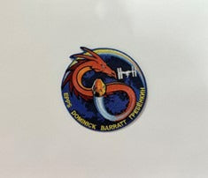 NASA Crew-8 Official Mission Patch 24394
