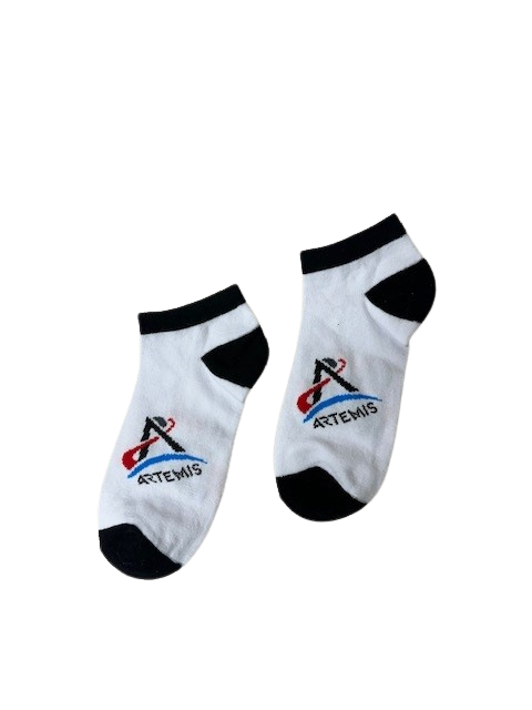 Artemis Program No Show Socks