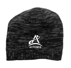 Beanie Artemis Program Logo Spaced Dyed 30279