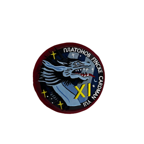 NASA Crew-11 Official Mission Patch 30547