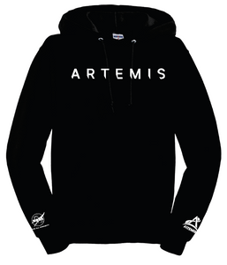 Artemis Program To the Moon and Beyond, NASA logo, Typeface Inter Hoodie