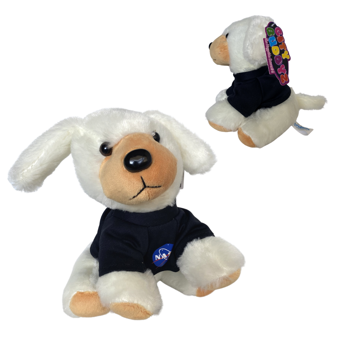 Nasa plush hot sale