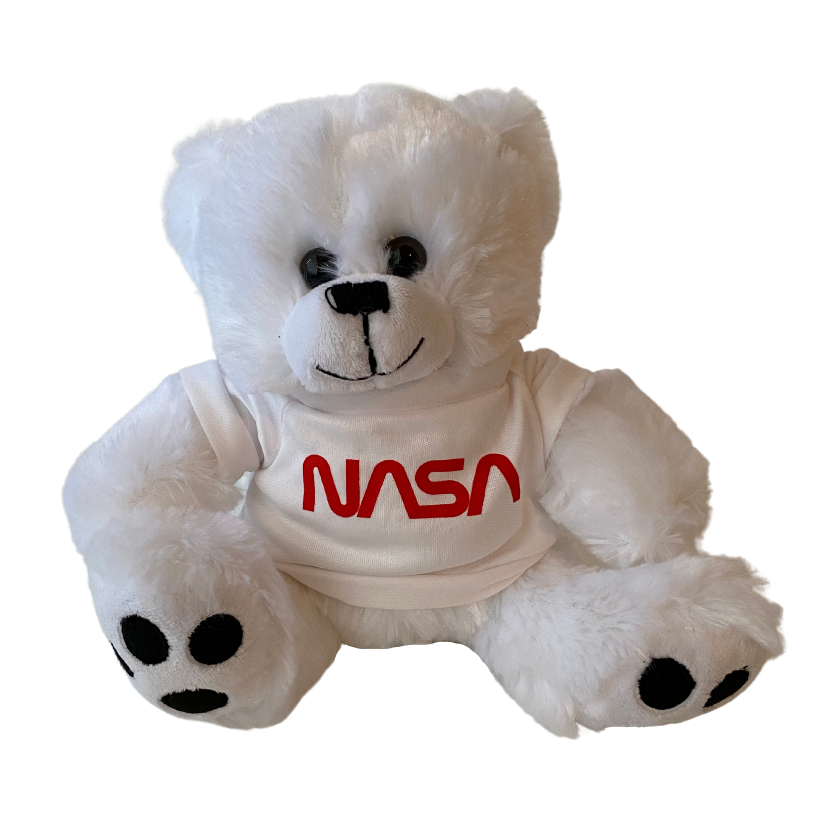 NASA Worm or Artemis Program Logo Plush Bear