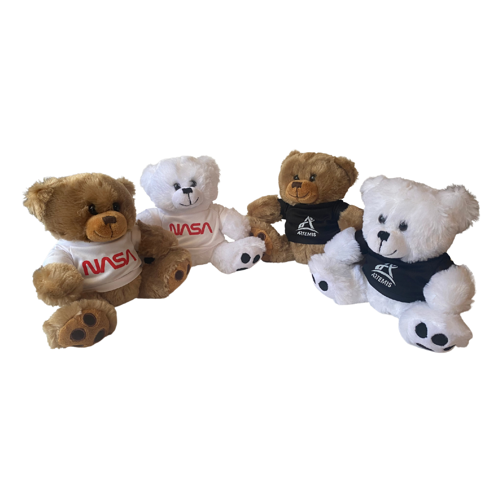 NASA Worm or Artemis Program Logo Plush Bear myNASAstore